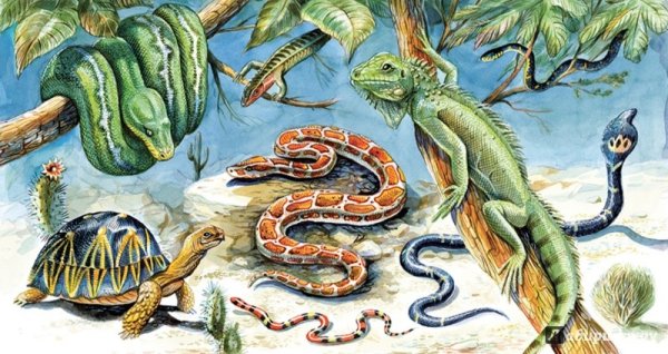 Николай Сладков рептилии