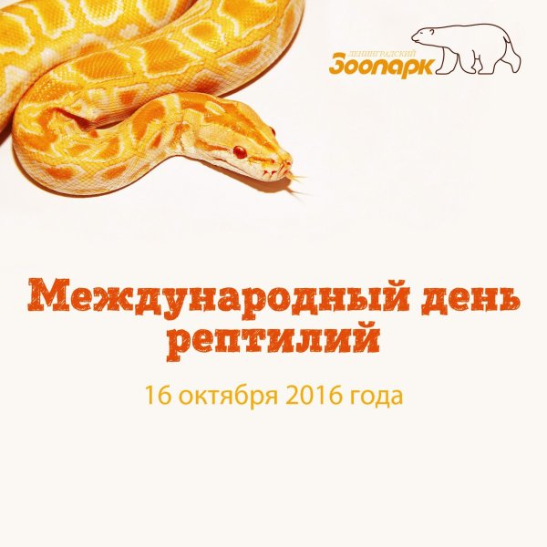 Всемирный день рептилий