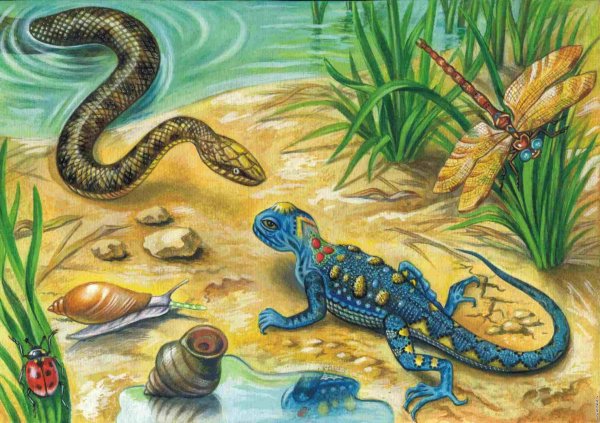 Рептилии для детей