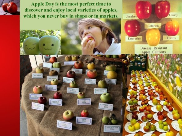 День яблока в Великобритании
