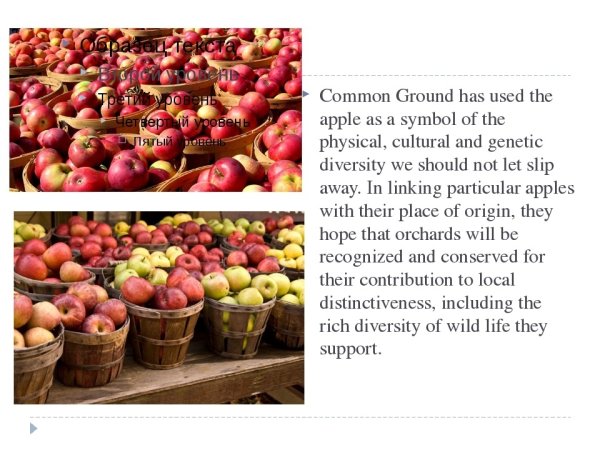 Презентация на день яблок