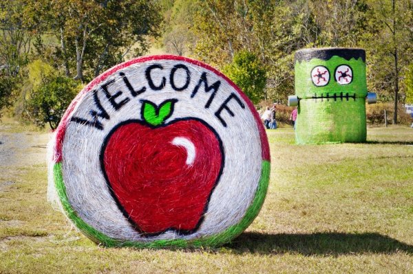 День яблока (США)