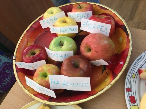 Всемирный день яблок