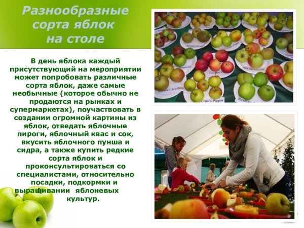 21 Октября день яблока