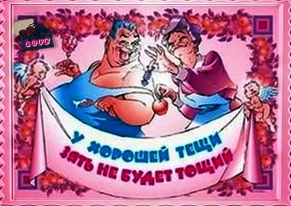 Хорошая теща для зятя