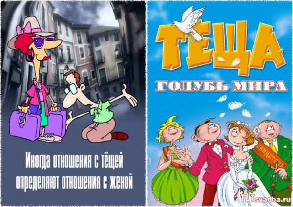 Стала тещей поздравления