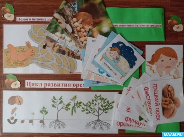 Плакат с орехами