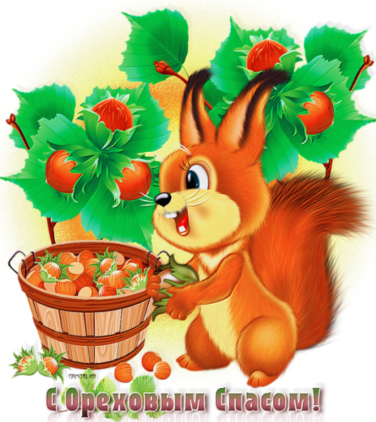 Белочка с лукошком рисунок