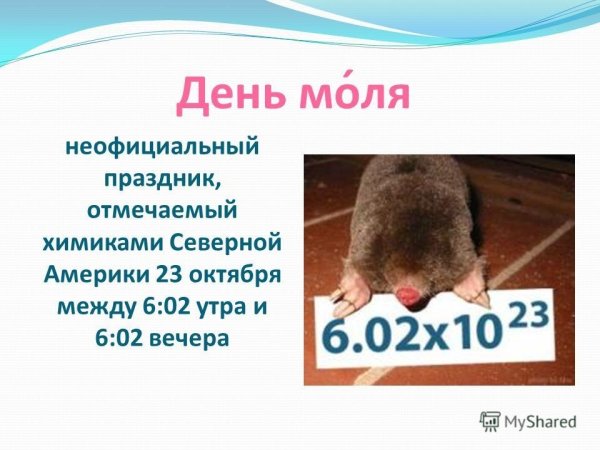 День моля 23 октября