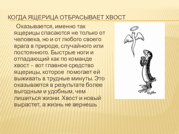 Как ящерица отбрасывает хвост