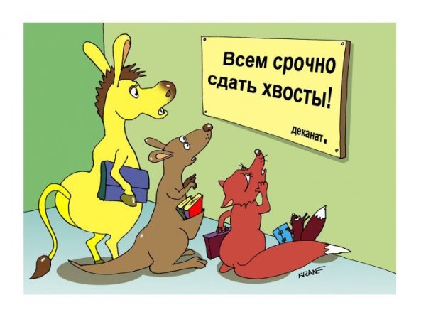 Студент карикатура