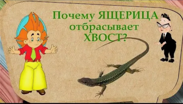 Ящерица отбрасывает хвост для детей