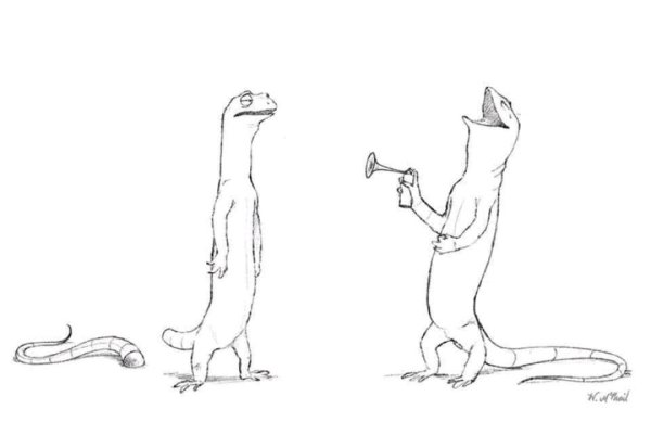 Ящерица отбрасывает хвост рисунок