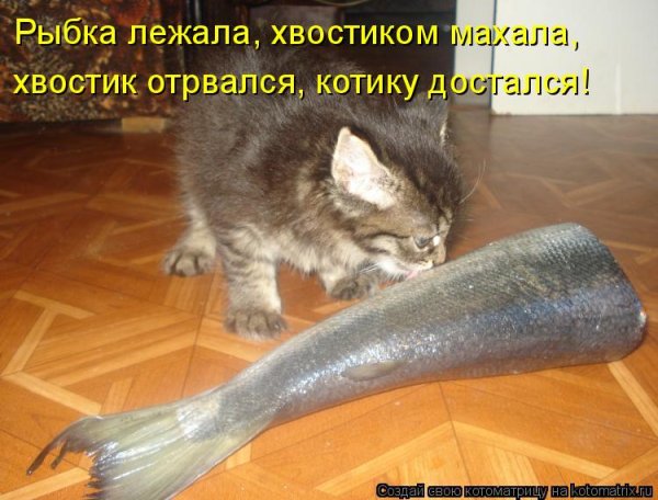 День отбрасывания хвоста