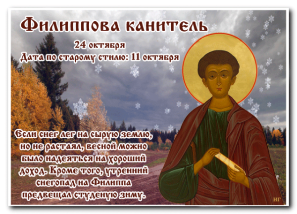 Филиппова канитель 24 октября