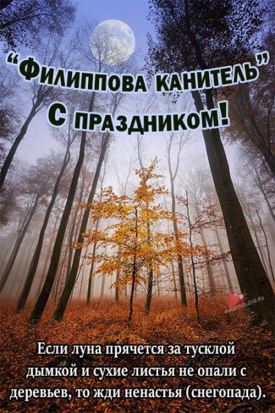 Филиппова канитель 24 октября