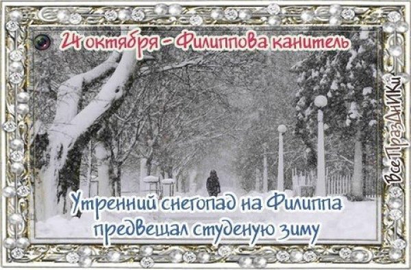 Филиппова канитель 24 октября