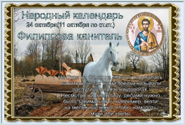 Филиппова канитель 24 октября