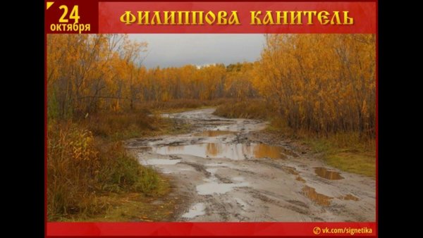 Филиппова канитель 24 октября