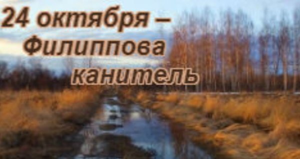 Филиппов день (Филиппова канитель)
