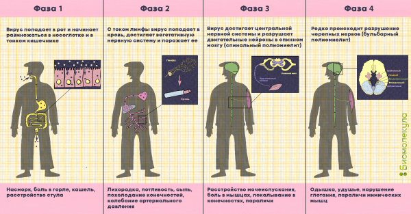 Полиомиелит плакат
