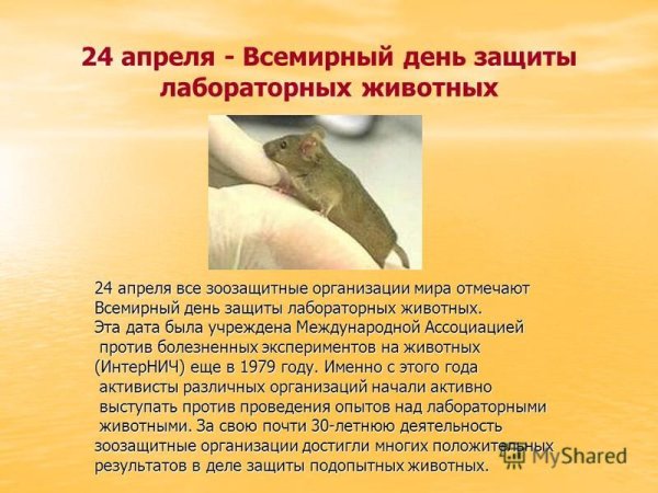 День лабораторных животных