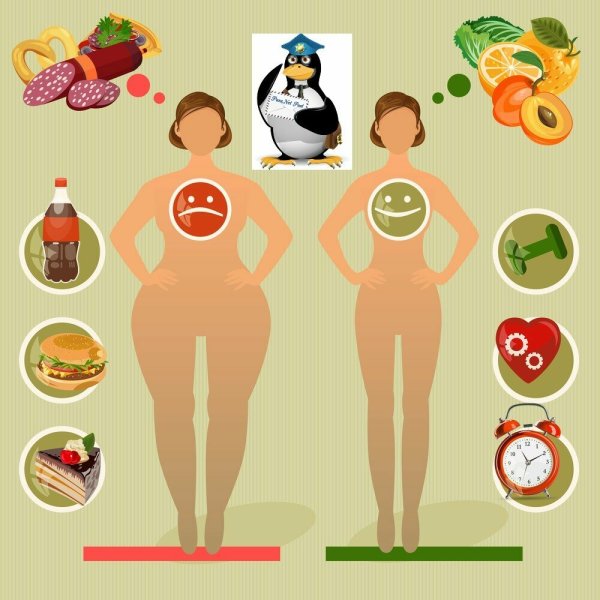 Здоровый и нездоровый образ жизни