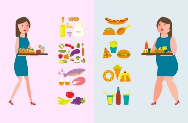 Толстый и стройный питание