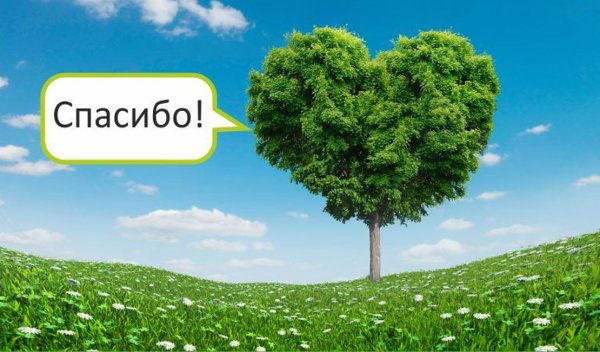 День без бумаги