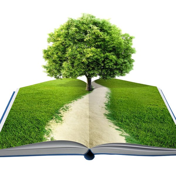 Дерево с книгами