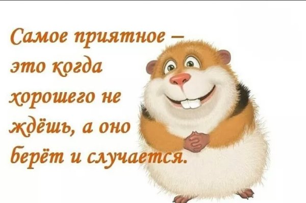 Высказывания про приятный сюрприз