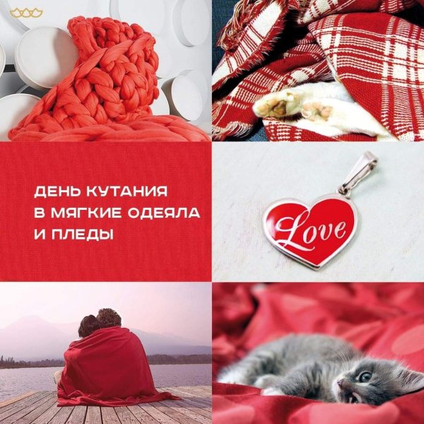 День кутания в пледы