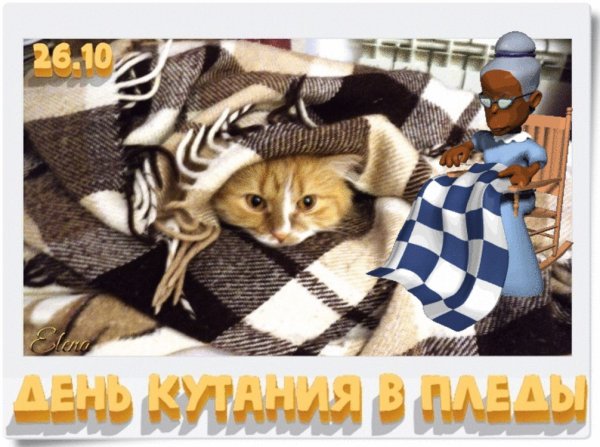 День кутания в пледы