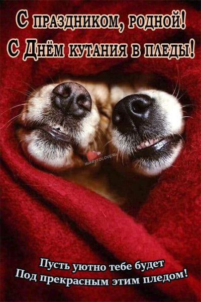 День кутания в пледы 26 октября