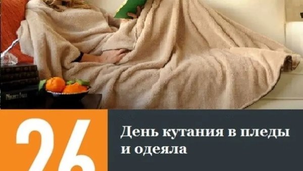 День кутания в пледы