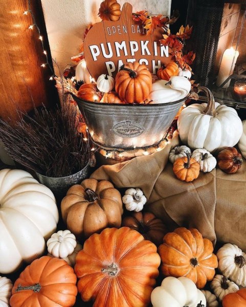 Осень тыквы