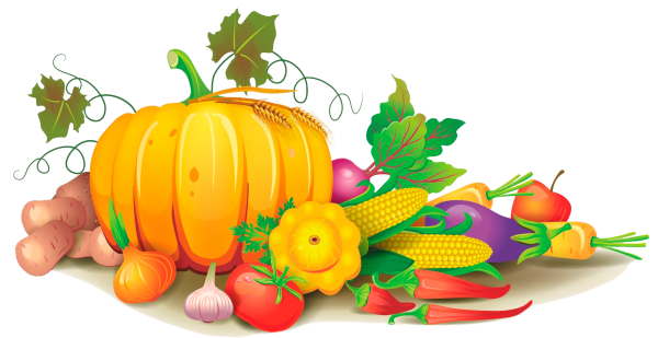 Осенний урожай для детей