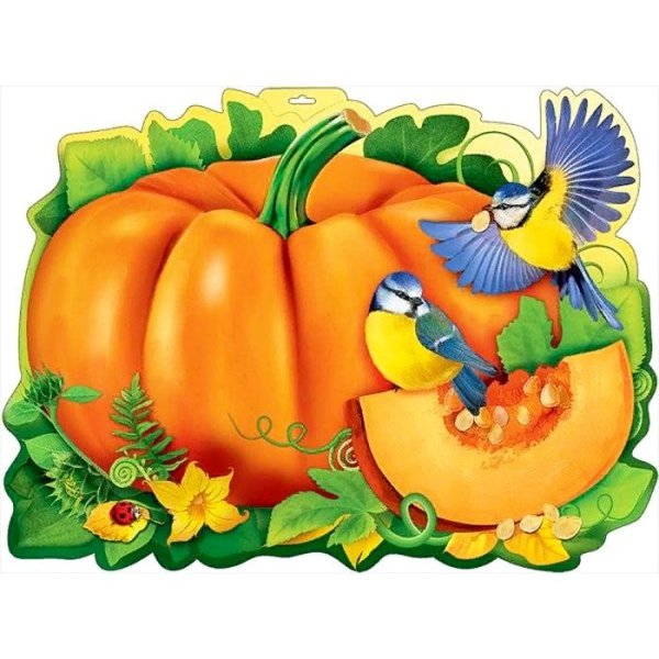 Фрукты для детского сада Тиква