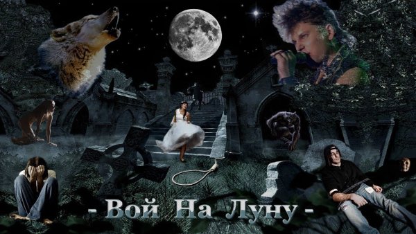 Вой на луну