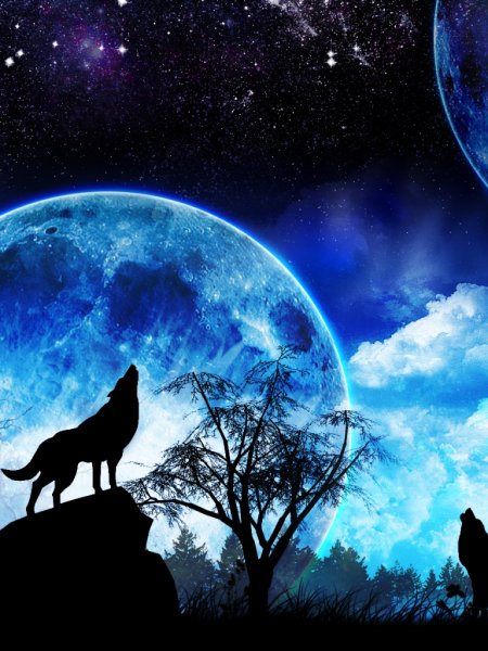 Ночь воя на луну
