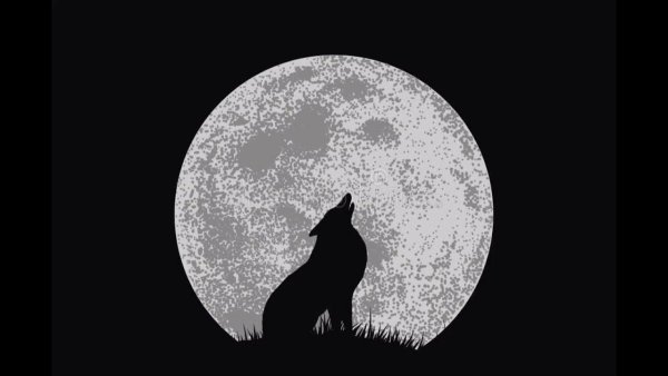 Силуэт волка на горе