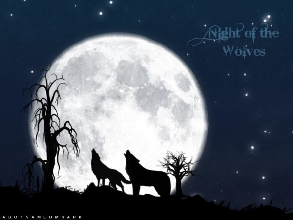 Рисунок дерева волк полной Луны