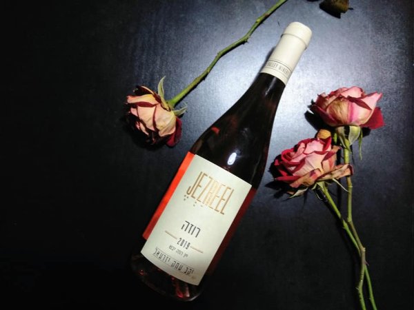 Международный день вина «Кариньян»