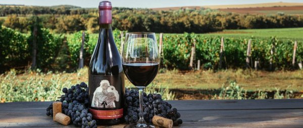 Международный день вина Пино Нуар 18 августа