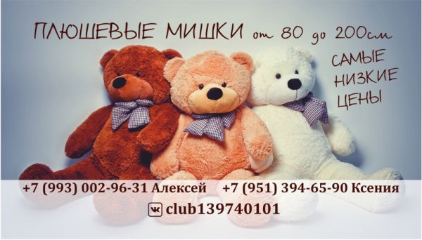 День плюшевого мишки в России 19 ноября