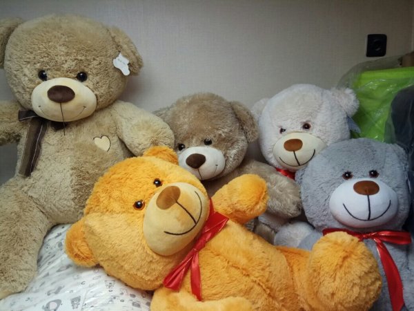 День плюшевого мишки в России