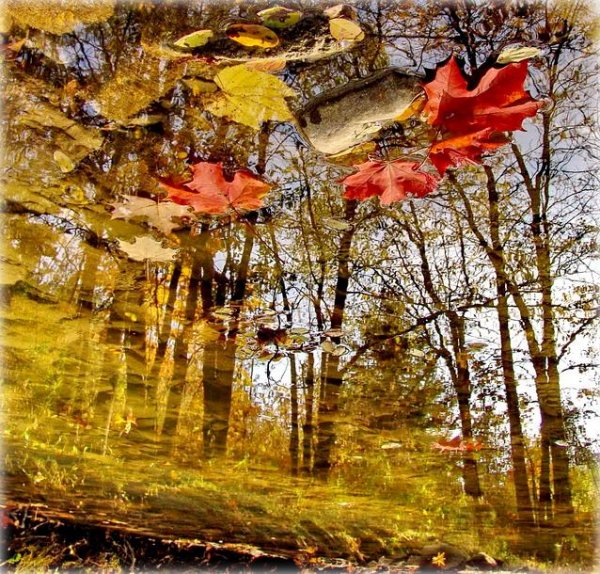 Осенний Мираж