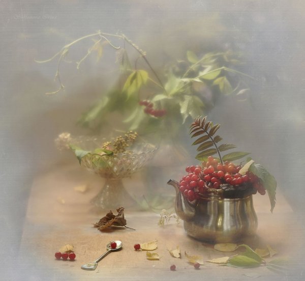 Наталья Шипунова художник