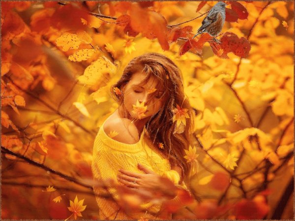 Осенние листья кружатся