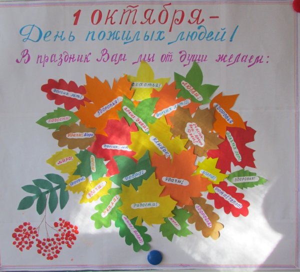 Плакат кот ДНБ пожилого человек а